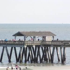 Meet your Posher, Wanda